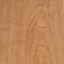 Taos Cherry Laminate Flooring - 5 in. x 7 in. Take Home Sample-HL-701932 203872775